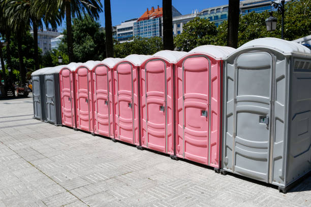 Types of Portable Toilets We Offer in Cross Roads, TX